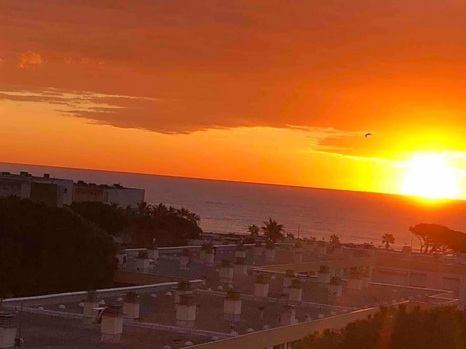 Appartement Vue Mer Au Lavandou Le Lavandou Luaran gambar