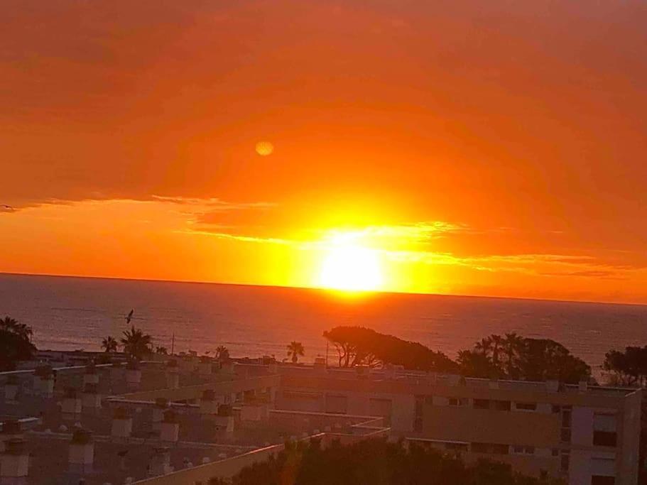 Appartement Vue Mer Au Lavandou Le Lavandou Luaran gambar